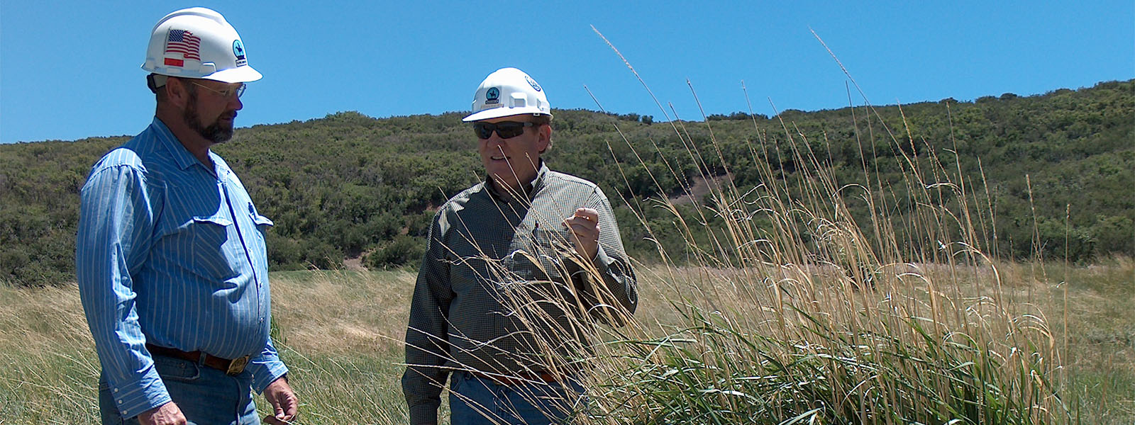 BillyForrest stand-1